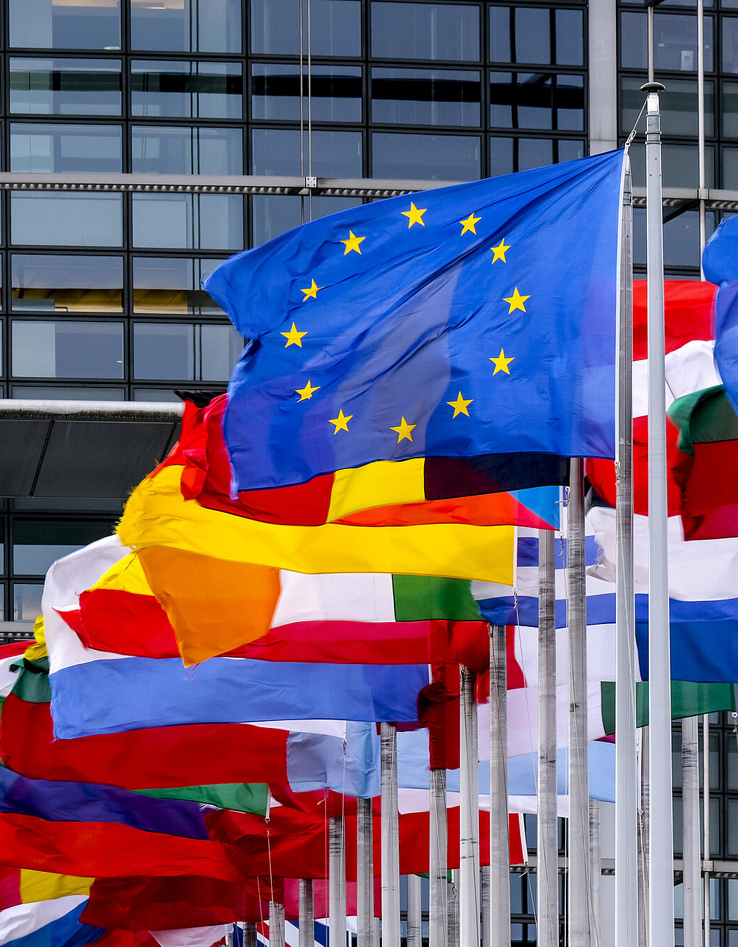 csm_20190311_EP-086075A_EVS_124_752a754bae